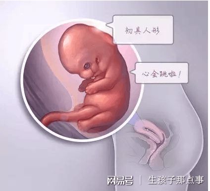 关于供卵包男孩正规代生公司